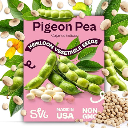 SVI 50 Gandules Pigeon Peas Seeds (Cajanus indicus) - Gungo peas, Congo Pea, Drought Resistant & Nitrogen-Fixing, Open-Pollinated - Heirloom Vegetable Seeds for Outdoor Garden, Raised Beds