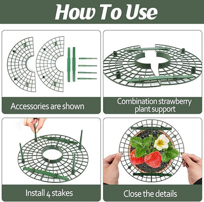6 Sets Strawberry Plant Support with Mesh Plant Cover,Strawberry Growing Racks Sets with Iron Plant Nails and Storage Bag for Garden Strawberry Vegetables(Green Net - Round)
