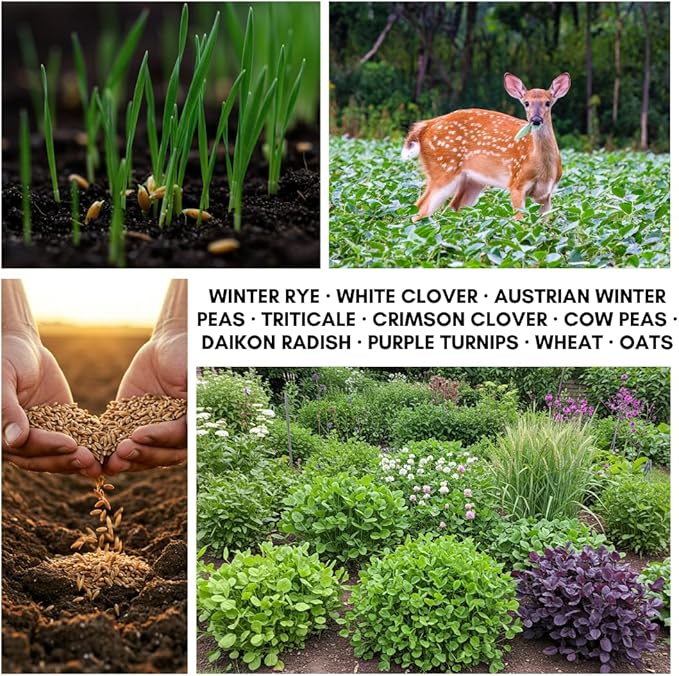 No-Till Cover Crop 10 Seed Mix - Winter Rye, White Clover, Austrian Winter Peas, Triticale, Crimson Clover, Cow Peas, Daikon Radish, Purple Turnips, Wheat, Oats, (25 Pounds)
