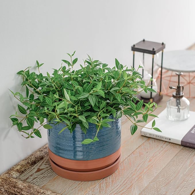 HERDUK 8 Inch Pots for Plants, Ceramic Planter Pot with Drainage Hole & Saucer, Indoor/Outdoor Cylinder Round Planter Pot, Blue & Terracotta