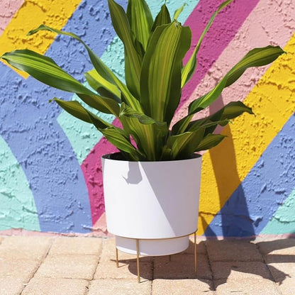 Bloem Hopson 14" Round Casper White Plastic Resin Planter with Drainage Holes and Gold Metal Stand, Made in USA