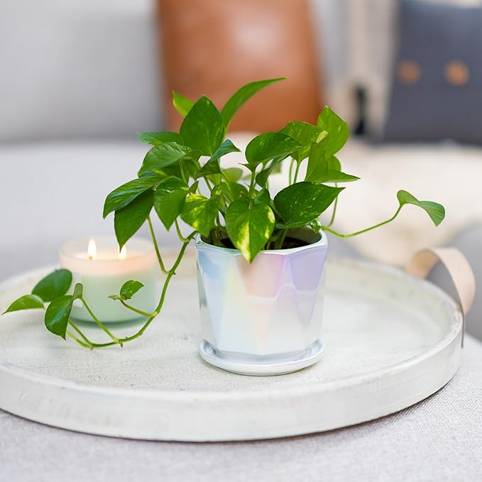 Coco Andrea Ceramic Plant Pots for Indoor Plants with Drainage & Saucers - 5-inch Iridescent White Planters for Houseplants, Succulents & Flowers - Housewarming Gift Set (1-pc, Small)