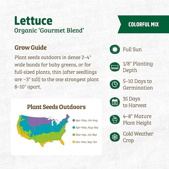 Back to The Roots 100% Organic Seed Packet - Lettuce 'Gourmet Blend' 420mg