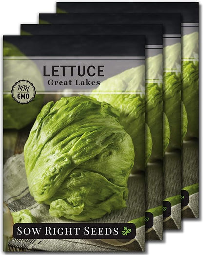 Sow Right Seeds - Great Lakes Iceberg Lettuce Seeds for Planting - Non-GMO Heirloom Packet with Instructions to Plant a Home Vegetable Garden - Outdoors or Hydroponics Indoors - Crisp Variety (4)
