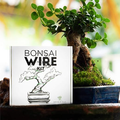 Bonsai Wire Kit 160ft with Cutter & Canvas Bag| 5 Rolls Aluminum Bonsai Training Wire Set for Tree Shaping| Bonsai Tools, Plant Training Wire, Bonsai Starter Kit Supplies for Beginners & Professionals