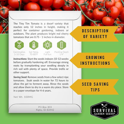 Tiny Tim Tomato Seeds - Dwarf Cherry Tomatoes for Planting Indoors or Patio, Compact Heirloom Variety for Containers, High Yield, Non-GMO - Survival Garden Seeds (3 Packs)