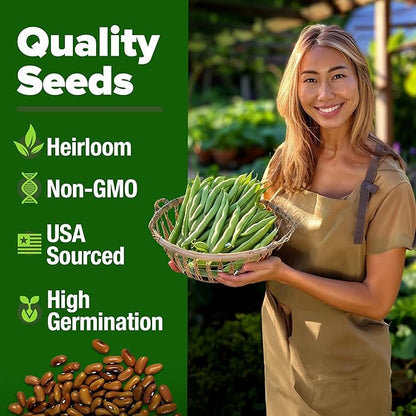 HOME GROWN Contender Bush Seeds - 56 𝗡𝗢𝗡-𝗚𝗠𝗢 𝗨𝗦𝗔-𝗦?𝗨𝗥𝗖𝗘𝗗, Heirloom Green Beans for Planting - Emergency Food Supply (Phaseolus vulgaris)