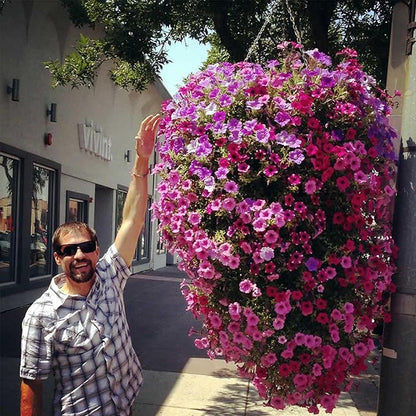 Bloom Master Hanging Baskets - 6 Gallon (3 Pack) - Large Hanging Planters for Outdoor Plants - Use as a Hanging Flower Basket, Strawberry Planter, Herb Planter, More - Hanging Pots for Plants Outdoor