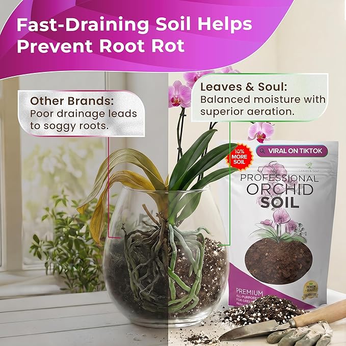 Professional Orchid Soil Mix Large 2.2 Quarts Ready to Use, Premium Potting Soil for Orchids Bromeliads Epiphytic Plants, Fast Draining Blend Lava Calcined Clay Pinebark Indoor Made in USA