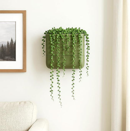 Phoenix Vine 6.5 Inch Wall Mounted Self-Watering Planter Pot for Indoor Houseplants and Herbs | Hanging Planter for Window Sills, Bathroom Walls, Home & Office Décor, Olive, Set of 1, 01-C-F-1