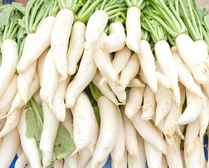Japanese Daikon Radish Seeds for Planting - 100 Heirloom Non GMO Seeds - Full Planting Instructions to Plant & Grow a Home Vegetable Garden - Great Gardening Gift, 1 Packet