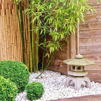 FANTIAN 20 lbs White River Rocks for Landscaping, 2-3 inch Large Pebbles for Plants, Decorative Stones for Planters Vase Aquarium and Outdoor Garden Rocks
