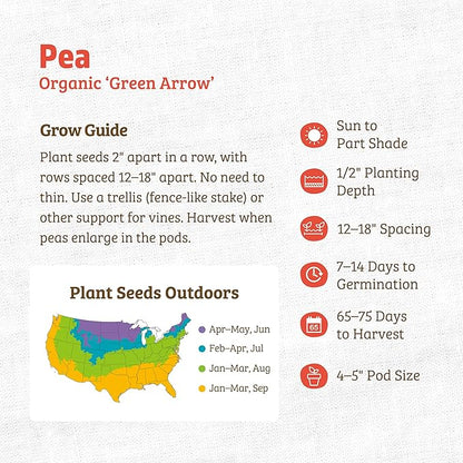 Back to The Roots 100% Organic Heirloom Seeds - Pea 'Pisum Sativum' Value Pack (16.8g Total)