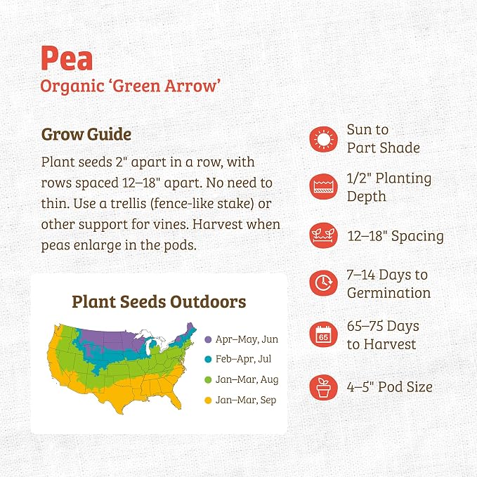 Back to The Roots 100% Organic Seed Packet - Pea 'Green Arrow' 8.4g