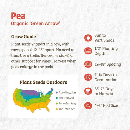 Back to The Roots 100% Organic Seed Packet - Pea 'Green Arrow' 8.4g