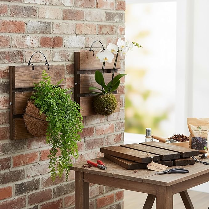 Staghorn Fern Mounting Board Kit Wooden Wall Planter Hanging Plant Holder for Vertical Plant,Platycerium,Orchids,Succulents(Square)