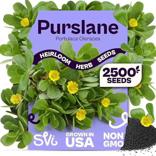 SVI 2500 Purslane Seeds (Portulaca oleracea) – Common Purslane, Verdolaga Seed Packets Bulk, Pigweed, Succulent Grow – Heat & Drought Tolerant Heirloom Herb Seeds, Indoor Herb Garden & Outdoor Garden