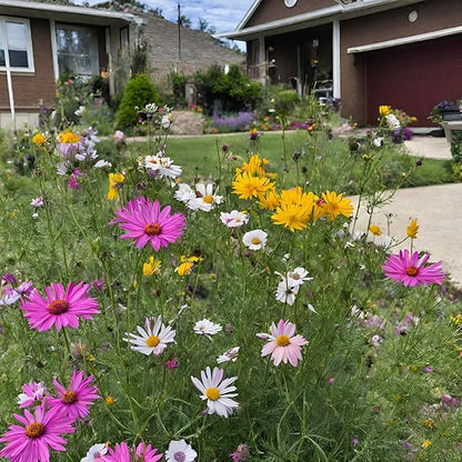 Created By Nature Montana Wildflower Seed Mix, 14 Flower Varieties, 53,000 Seeds