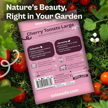SVI 550 Large Red Cherry Tomato Seeds (Solanum lycoperscium) – Cherry Tomatoes Seed Packets, Mini Tomatoes On The Vine – Heirloom Vegetable Seeds in Home Garden, Containers, Greenhouses