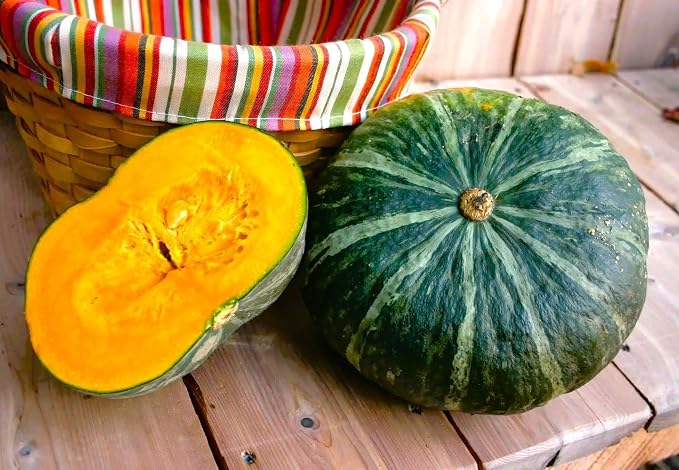 TomorrowSeeds - Kabocha Squash Seeds - 20+ Count - for 2026 Planting Japanese Pumpkin Green Hokkaido Ebisu Asian Tetsukabuto Buttercup Gourd Garden Vegetable Grow Your Own Home Farm Patio Healthy