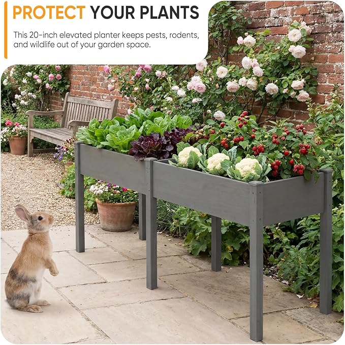 NEWBULIG Raised Garden Bed with Legs 72x23x30in,Elevated Wood Planter Box Stand for Outdoors Garden Balcony Courtyard, Natural Wood 600 Pound Capacity for Planting Herbs Flowers Vegetables, Grey