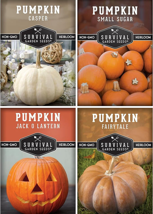 Pumpkin Seeds 4 Variety Pack for Planting – Small Sugar, Jack O’ Lantern, Fairytale & Casper Heirloom Non-GMO Pumpkin Seed Collection | Survival Garden Seeds