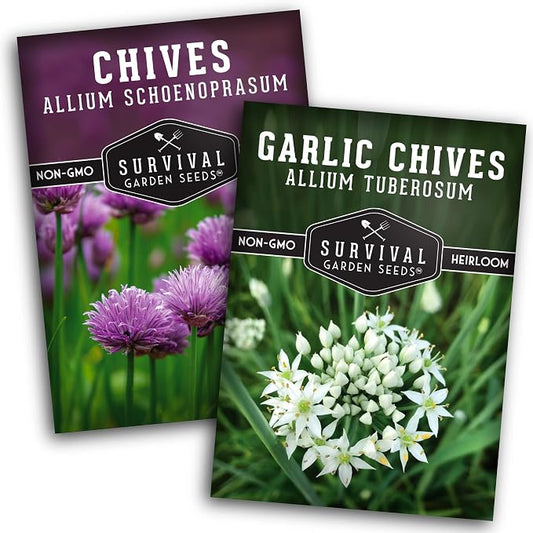 Chive Seeds Collection - Common & Garlic Chives Seed for Planting - 2 Packets of Non-GMO Heirloom Open-Pollinated Herb Varieties to Plant in Your Garden - Survival Garden Seeds