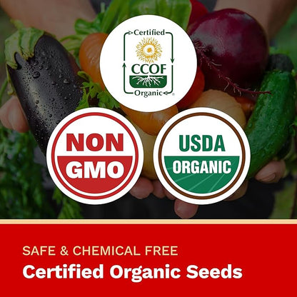 The Harvest Company Organic Jalapeño Pepper, Non-GMO, Certified USDA Organic, Open-Pollinated, Garden Seeds for Indoor Outdoor Planting, 25 Seeds