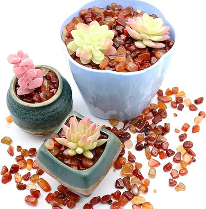 Agate Stone. Polished Natural Red Agate Pebbles. 3/8 Inch - 2 lbs. Red Color. for Succulents, Pots, Plants, Crafting, Vase Fillers (XSM (0.375 Inch), Agate - RED Polished, 2)