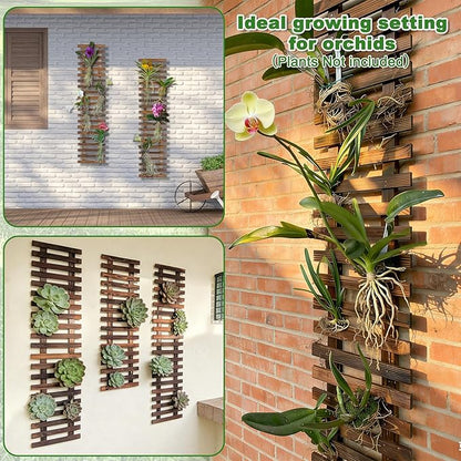 Wall Planters - 11.4" W x 47.24" H Wooden Wall Planters for Indoor Outdoor Plants,Hanging Wood Wall Trellis,Wall Mounted Plant Holder for Orchids,Succulent,Air Plants,Hanging Pots Display