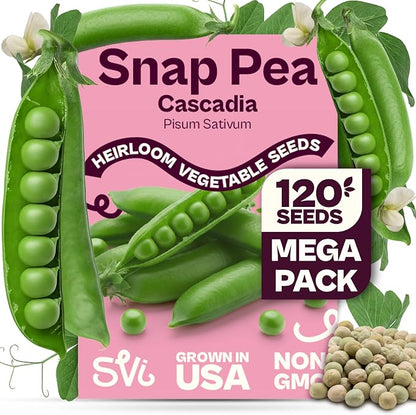 SVI 120 Cascadia Snap Pea Seeds (Pisum sativum) – Sugar Snap Peas, Sweet Peas Seed Packets, Pea Snaps Garden Seed Pack – Heirloom Vegetable Seeds Vegetable Garden, Raised Beds, Containers