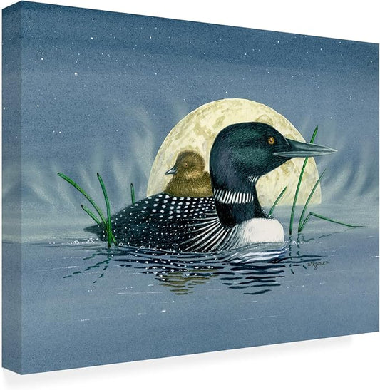 Outdoor Canvas Art - Dave Bartholet 'Loon Moon' Wall Art for Outdoor Spaces, Patios, or Gardens by Trademark Fine Art
