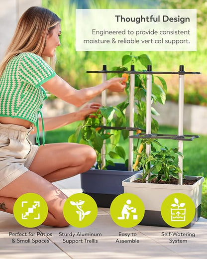 BUZZY Seeds Charly Chili Self-Watering Planter with Vertical Trellis – 1.2 Gal Reservoir, Large Capacity Planter for Chili Peppers, Bell Peppers & Eggplants (Blue)