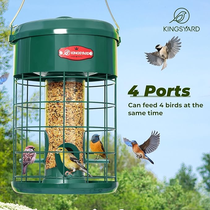 Kingsyard Upgraded Squirrel Proof Caged Bird Feeder for Outdoor Hanging - Additional Storage Tube Bird Feeder with 4 Feeding Ports & Perches, Easy to Clean & Refill. Green