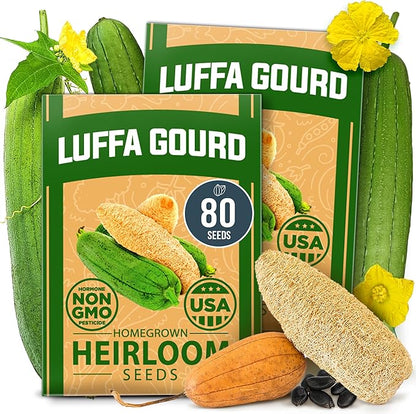 HOME GROWN Luffa Seeds 2 Pack(Luffa aegyptiaca) 80 Heirloom Non GMO Loofah Gourd Seeds for Planting High Germination Rate - Make Sponges or Harvest Young Loofahs for Eating