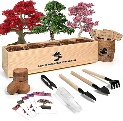 Meekear Bonsai Tree Kit with Complete Growing Starter Kit, Great Potted Growing DIY Gift for Adults