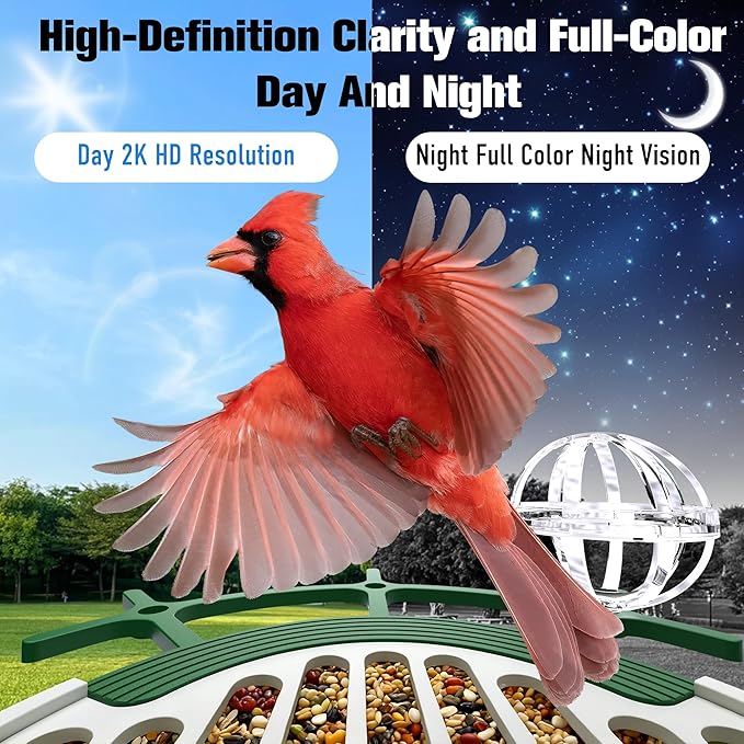 Bird Feeder with Camera 3W Solar Powered Panel: 2.4Ghz WiFi Hummingbird Feeders for Outdoors with AI Identify Auto Capture, 2K Live View, Instant Arrival Alerts, Gift for Bird Lovers (Green)