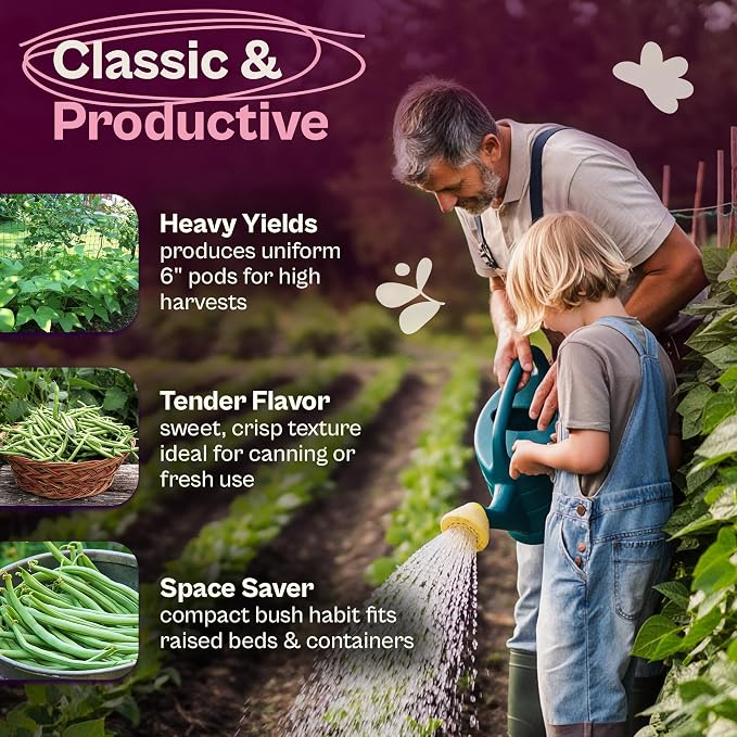 SVI 50 Blue Lake 274 Bush Green Bean Seeds (Phaseolus vulgaris) – Bush Beans Seed Packets, String Beans – Heirloom Vegetable Seeds for Outdoors, Home Garden & Containers