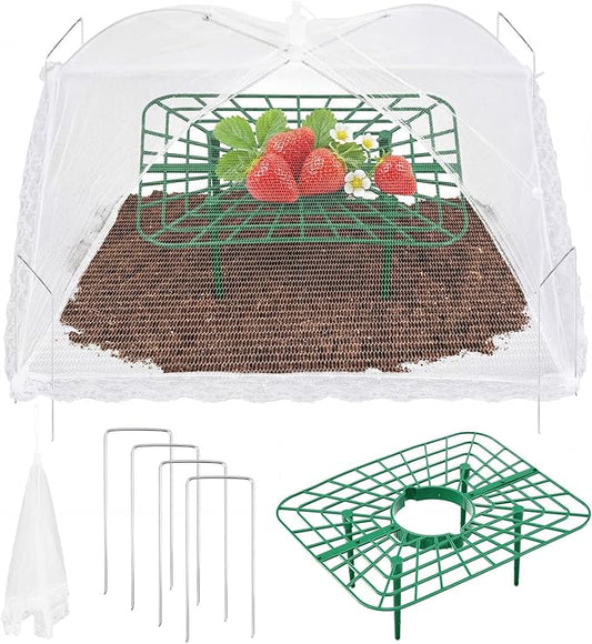 1 Sets Square Strawberry Plant Support with Mesh Plant Cover, Strawberry Growing Kit with Iron Nails for Garden Vegetables Keep Berries Clean