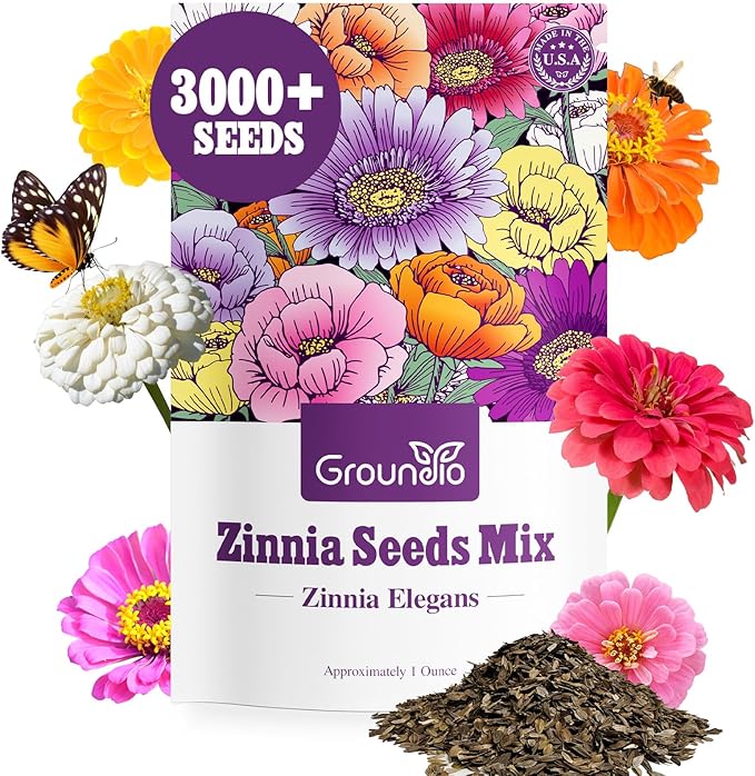 Groundio Zinnia Seeds Mix, 1 Oz, Over 3,000 Flowers Seeds, 5 Varieties (Pink, Yellow, Orange, White, Purple), Mixed Colors and Large Blooms,Open Pollinated - Bulk
