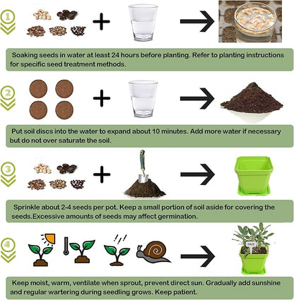 10 Herb Seeds Garden Starter Grow Kit with Green Pots, Markers, Nutritional Soil, Watering, Herb Clipper, Complete Indoor Potted Plant Growing Set for Kitchen DIY