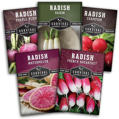 Radish Seeds Variety Pack – 5 Packets | Heirloom Non-GMO Radishes for Planting: Daikon, Watermelon, Purple Plum, French Breakfast & Champion – Survival Garden Seeds
