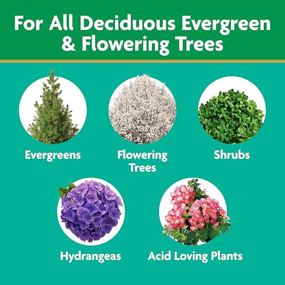 Miracle-Gro Tree and Shrub Plant Food Spikes, For Deciduous, Flowering and Evergreen Trees, 12 Spikes