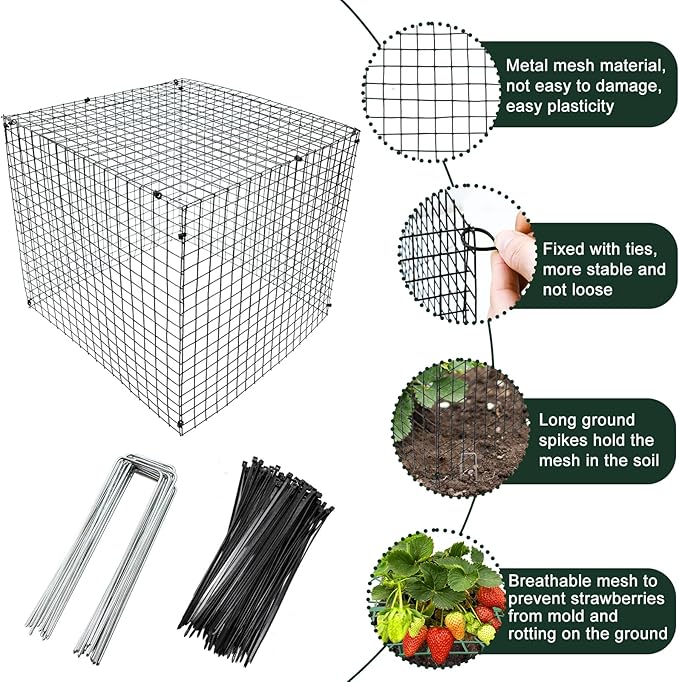 4 Sets Upgraded Strawberry Supports with Wire Plant Protectors from Animal 12x12Inch Sturdy Metal Wire Plant Cages Mesh Plant Cover and Strawberry Growing Racks Planting Stand for Garden Strawberry