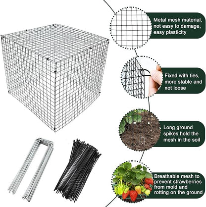4 Sets Upgraded Strawberry Supports with Wire Plant Protectors from Animal 12x12Inch Sturdy Metal Wire Plant Cages Mesh Plant Cover and Strawberry Growing Racks Planting Stand for Garden Strawberry