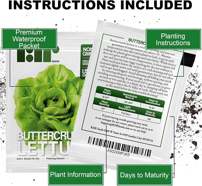 500 Buttercrunch Lettuce Seeds for Planting - Heirloom Non-GMO Vegetable Seeds for Planting - Hydroponics - Microgreens - AKA Butterhead, Boston, Bibb Lactuca Sativa