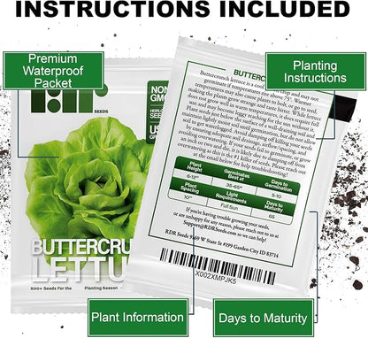 500 Buttercrunch Lettuce Seeds for Planting - Heirloom Non-GMO Vegetable Seeds for Planting - Hydroponics - Microgreens - AKA Butterhead, Boston, Bibb Lactuca Sativa