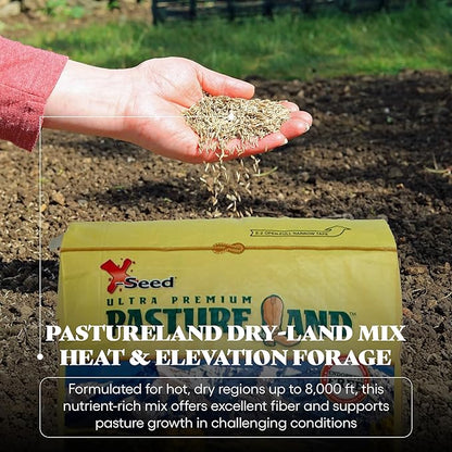 X-Seed Pasture Land Dry-Land Forage Seed Mixture with Micro-Boost – Tall Fescue Orchard Grass Ryegrass Endophyte Free Pasture for Safe Nutrition of Livestock, Formulated for Dry Areas – 7-Pound Bag