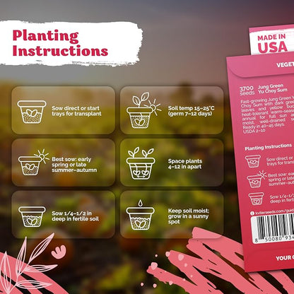 KVITER 3700 Jung Green Yu Choy Sum Seeds (Brassica Rapa VAR Parachinesis) - Chinese Flowering Cabbage, Fast Growing, Heirloom, Non GMO Seed Packets - Vegetable Seeds for Outdoor Garden, Raised Beds
