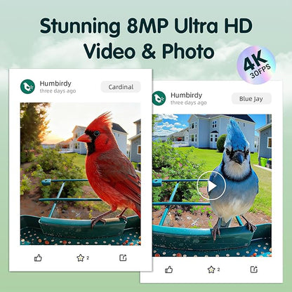 Humbirdy-Bird Feeder with Camera, 8MP Ultra HD Video & Photo, 10x Slow-Motion, 4K 30fps Live View, AI Identify, No Subscription, 2.4G/5G Wi-Fi, Solar Powered, Wildbird Watching Gifts-Metal